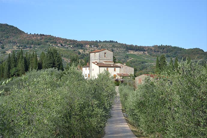 Fattoria di Basciano