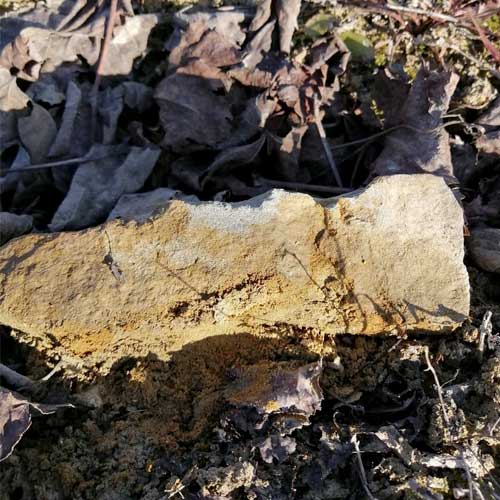 Close-up van de bodem van de Lequio-formatie in de cru Badarina in Barolo