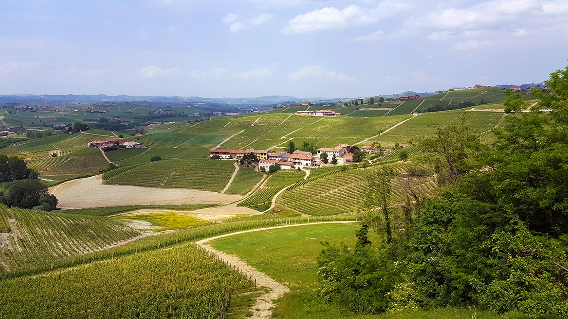 De glooiende heuvels van Barolo